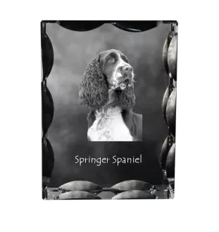 English Springer Spaniel - Kristall mit einem Hundebild, Glasstatuette mit einem Bild, einzigartiger Bilderrahmen der Marke Art-Dog