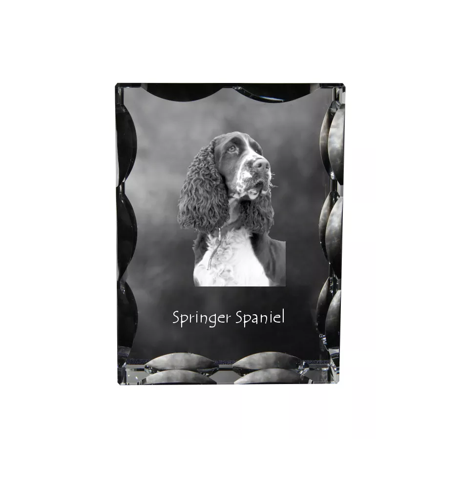 English Springer Spaniel - crystal with a picture of a dog, glass statuette with a picture, unique frame with a picture from Art-Dog brand