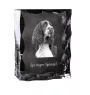English Springer Spaniel - crystal with a picture of a dog, glass statuette with a picture, unique frame with a picture from Art-Dog brand