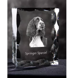 English Springer Spaniel - crystal with a picture of a dog, glass statuette with a picture, unique frame with a picture from Art-Dog brand