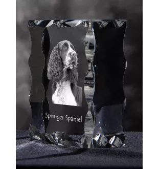 English Springer Spaniel, Springer anglais - cristal avec photo de chien, statuette en verre avec photo, cadre exceptionnel avec photo de la marque Art-Dog