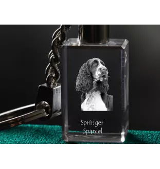 English Springer Spaniel - Crystal key ring with dog photo, illuminated key ring, unique gift by Art-Dog brand