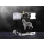 English Setter, Englischer Setter I - Kerzenhalter mit Hundefoto, Teelichthalter aus Kristall, personalisiertes Geschenk der Marke Art-Dog