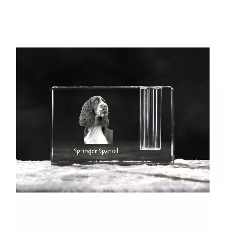 English Springer Spaniel - Pen stand, crystal organiser with dog photo, unique desk decoration by Art-Dog brand