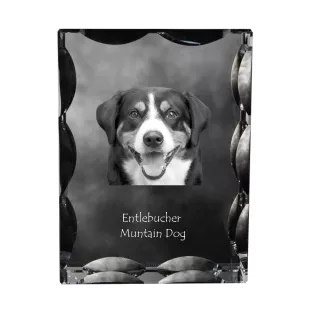 Entlebucher Mountain Dog, Entelbuch Cattle Dog - crystal with a picture of a dog, glass statuette with a picture, unique frame with a picture from Art-Dog brand