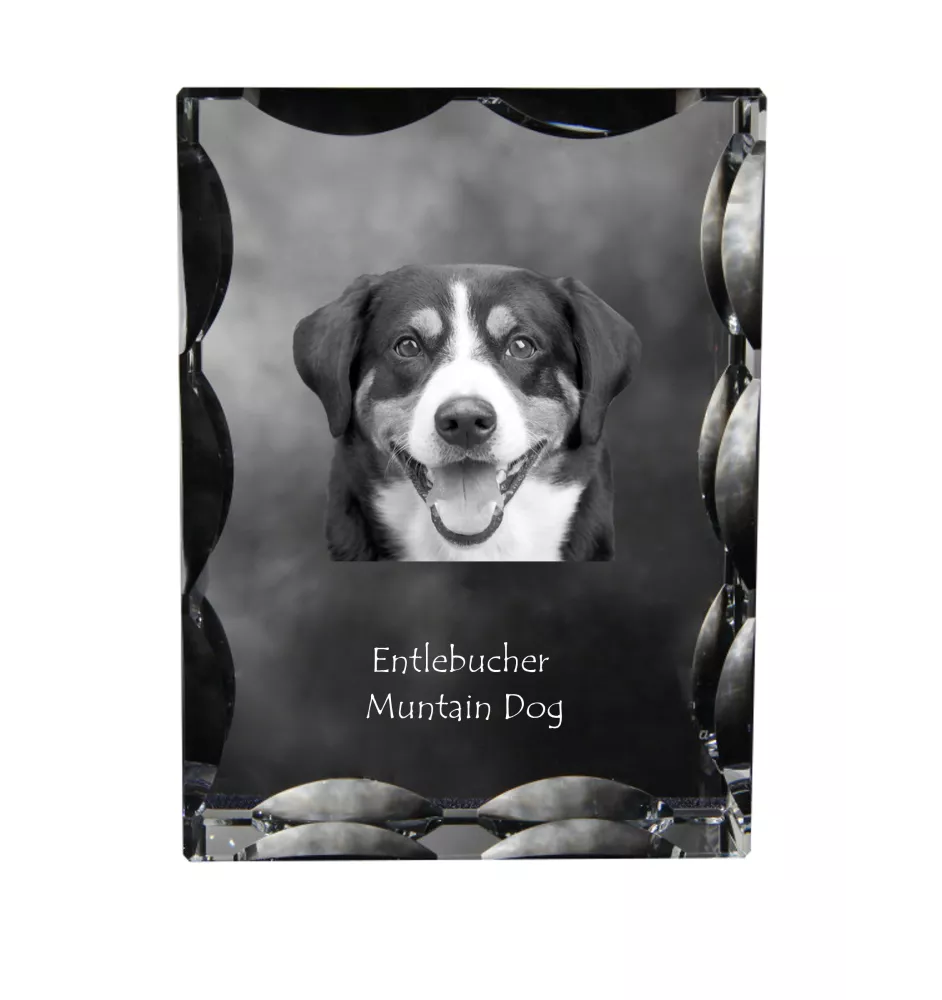 Entlebucher Sennenhund - Kristall mit einem Hundebild, Glasstatuette mit einem Bild, einzigartiger Bilderrahmen der Marke Art-Dog