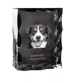 Entlebucher Mountain Dog, Entelbuch Cattle Dog - crystal with a picture of a dog, glass statuette with a picture, unique frame with a picture from Art-Dog brand