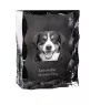 Entlebucher Mountain Dog, Entelbuch Cattle Dog - crystal with a picture of a dog, glass statuette with a picture, unique frame with a picture from Art-Dog brand