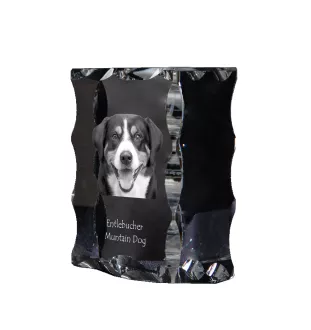 Entlebucher Mountain Dog, Entelbuch Cattle Dog - crystal with a picture of a dog, glass statuette with a picture, unique frame with a picture from Art-Dog brand