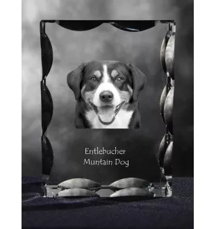 Bouvier de l'Entlebuch - cristal avec photo de chien, statuette en verre avec photo, cadre exceptionnel avec photo de la marque Art-Dog