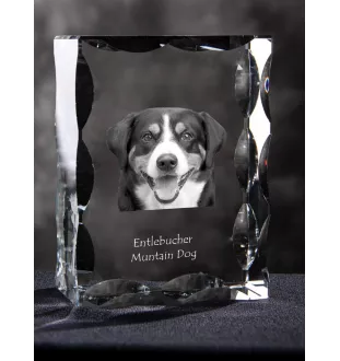 Entlebucher Mountain Dog, Entelbuch Cattle Dog - crystal with a picture of a dog, glass statuette with a picture, unique frame with a picture from Art-Dog brand