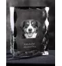 Entlebucher Mountain Dog, Entelbuch Cattle Dog - crystal with a picture of a dog, glass statuette with a picture, unique frame with a picture from Art-Dog brand
