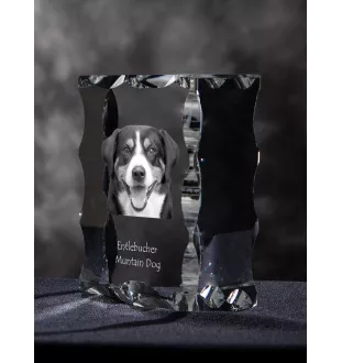 Entlebucher Mountain Dog, Entelbuch Cattle Dog - crystal with a picture of a dog, glass statuette with a picture, unique frame with a picture from Art-Dog brand