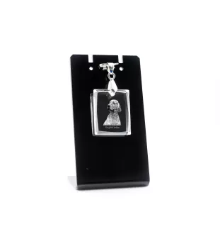 Setter anglais, Setter laverack - Pendentif chien en cristal, collier photo, bijoux uniques par Art-Dog