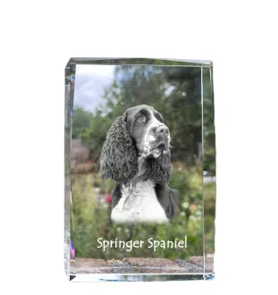 English Springer Spaniel - Kristall mit einem Hundebild, Bild im Glas, moderne Ausstellung des Art-Dog-Bildes.