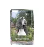 English Springer Spaniel - crystal with a picture of a dog, photo in glass, modern exhibition of Art-Dog brand photo
