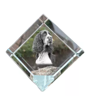 English Springer Spaniel - crystal cube with a photo, photo of a horse in crystal, cubic paperweight from Art-Dog brand