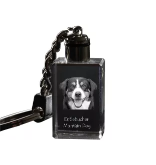 Bouvier de l'Entlebuch - Porte-clés en cristal avec photo de chien, porte-clés lumineux, cadeau unique de la marque Art-Dog