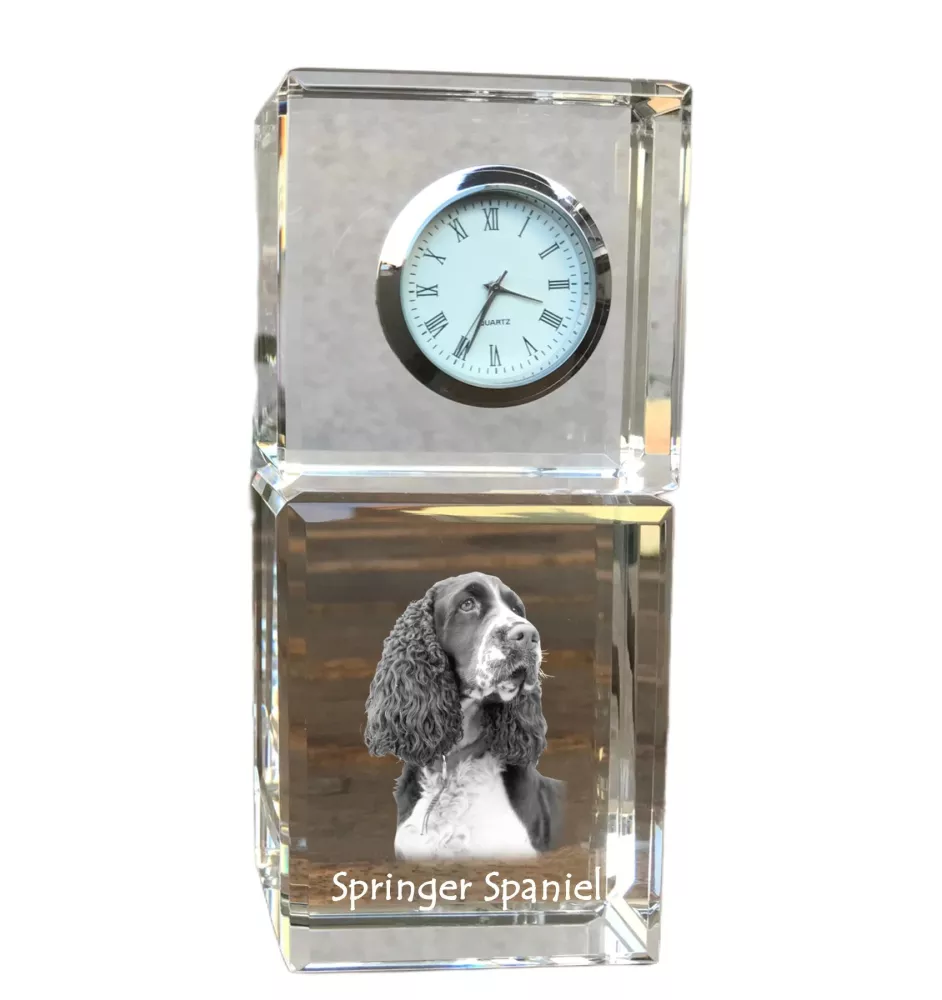 English Springer Spaniel - crystal clock with a photo, a photo of a dog in crystal, personalized desk clock by Art-Dog brand