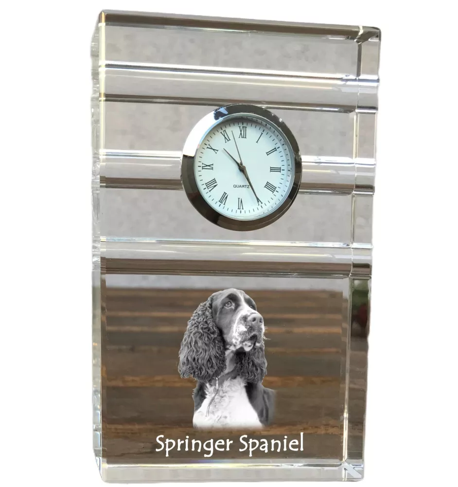 English Springer Spaniel - glass clock with a photo, photo of a dog in crystal, personalized standing office clock by Art-Dog brand