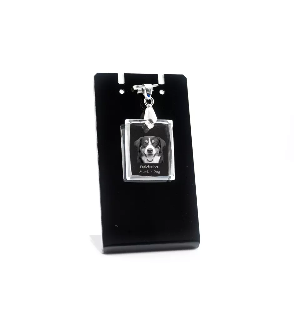 Entlebucher Mountain Dog, Entelbuch Cattle Dog - Crystal dog pendant, photo necklace, unique jewellery by Art-Dog