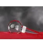 English setter, Lawerack, Laverack - Crystal bottle stopper, unique wine stopper with photo, personalised gift for sommelier by Art-Dog brand