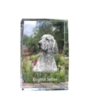 English Setter, Englischer Setter - Kristall mit einem Hundebild, Bild im Glas, moderne Ausstellung des Art-Dog-Bildes.