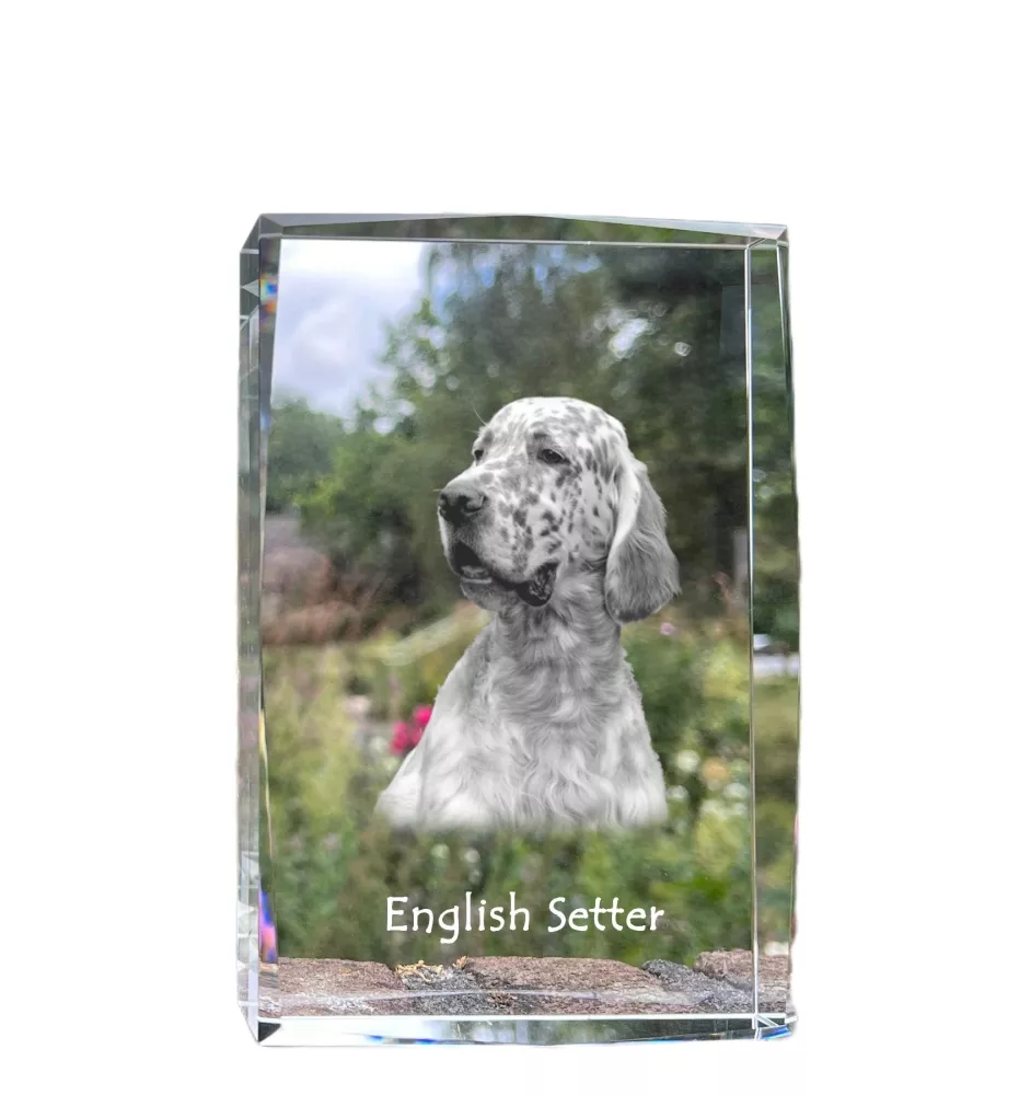 Seter angielski kryształ z psem Art-Dog
