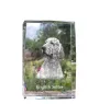 Seter angielski kryształ z psem Art-Dog