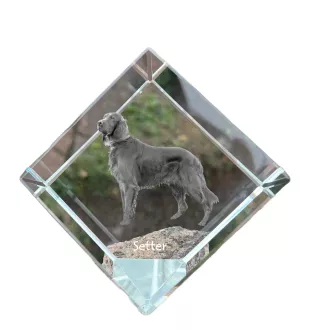 Seter angielski kostka kryształowa z psem Art-Dog