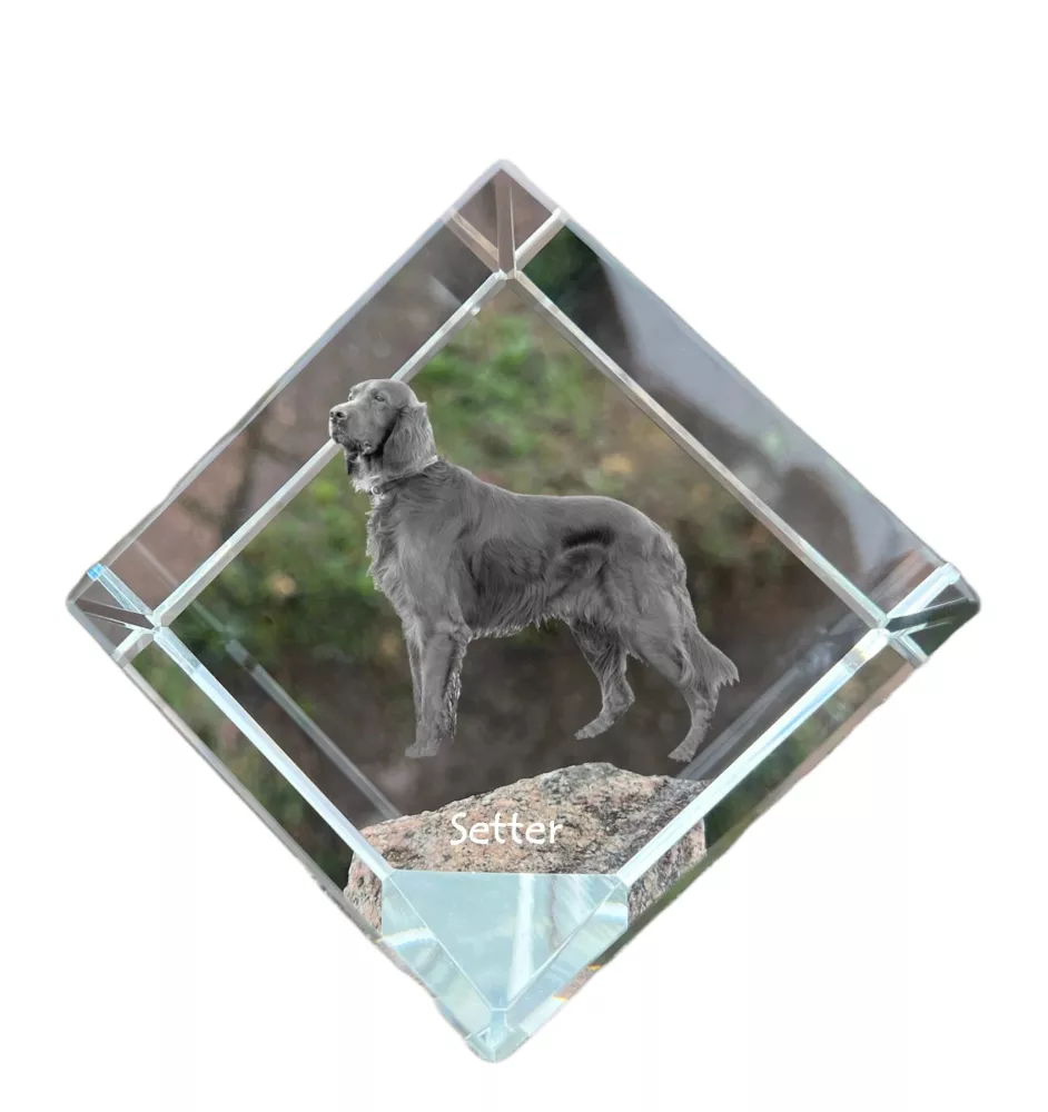Seter angielski kostka kryształowa z psem Art-Dog