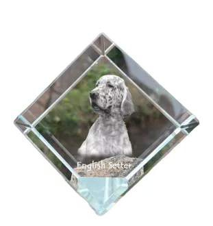 English Setter, Englischer Setter - Kristallwürfel mit Bild, Pferdebild im Kristall, sechseckiger Papierclip der Marke Art-Dog