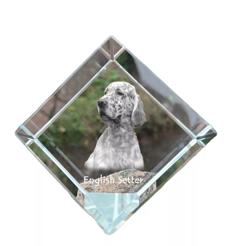 English Setter, Englischer Setter - Kristallwürfel mit Bild, Pferdebild im Kristall, sechseckiger Papierclip der Marke Art-Dog