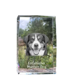 Entlebucher Sennenhund - Kristall mit einem Hundebild, Bild im Glas, moderne Ausstellung des Art-Dog-Bildes.
