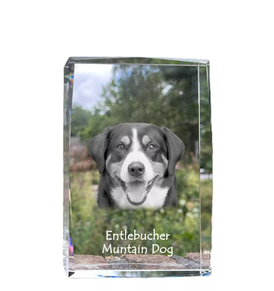 Bouvier de l'Entlebuch - cristal avec une photo de chien, photo sous verre, exposition moderne de la marque de photos Art-Dog