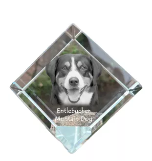 Entlebucher kostka kryształowa z psem Art-Dog