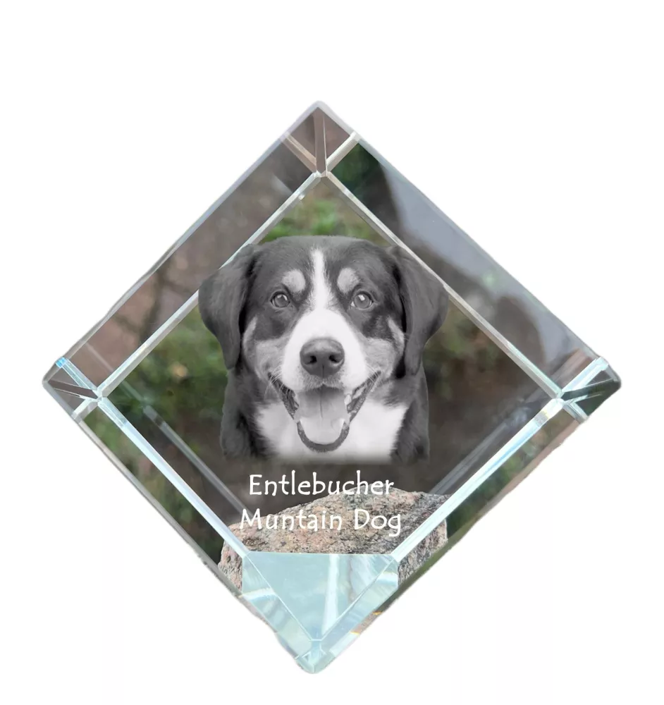 Entlebucher Mountain Dog, Entelbuch Cattle Dog - crystal cube with a photo, photo of a horse in crystal, cubic paperweight from Art-Dog brand