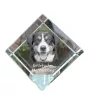 Entlebucher Sennenhund - Kristallwürfel mit Bild, Pferdebild im Kristall, sechseckiger Papierclip der Marke Art-Dog
