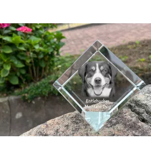Bouvier de l'Entlebuch - un cube de cristal avec une photo, une photo de cheval dans le cristal, un presse-papiers cubique de la marque Art-Dog