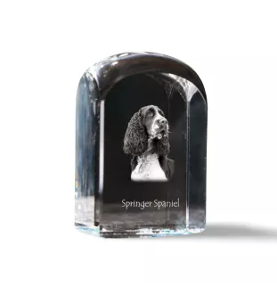 English Springer Spaniel - crystal cube with a photo, photo of a dog in crystal, cubic paperweight from Art-Dog brand