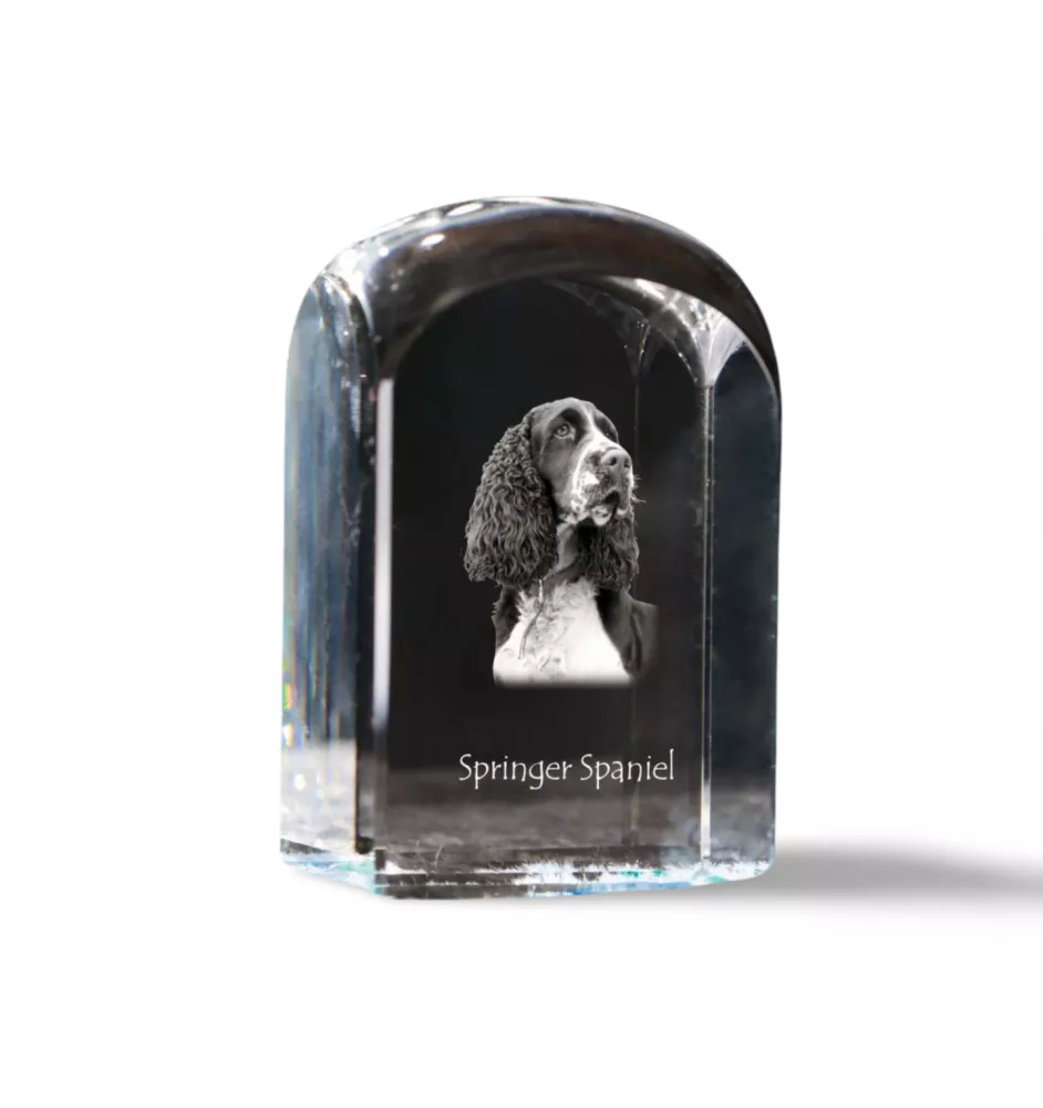 English Springer Spaniel - crystal cube with a photo, photo of a dog in crystal, cubic paperweight from Art-Dog brand