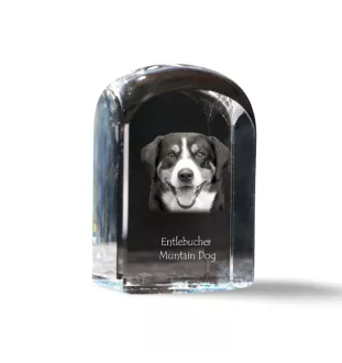 Entlebucher Mountain Dog, Entelbuch Cattle Dog - crystal cube with a photo, photo of a dog in crystal, cubic paperweight from Art-Dog brand