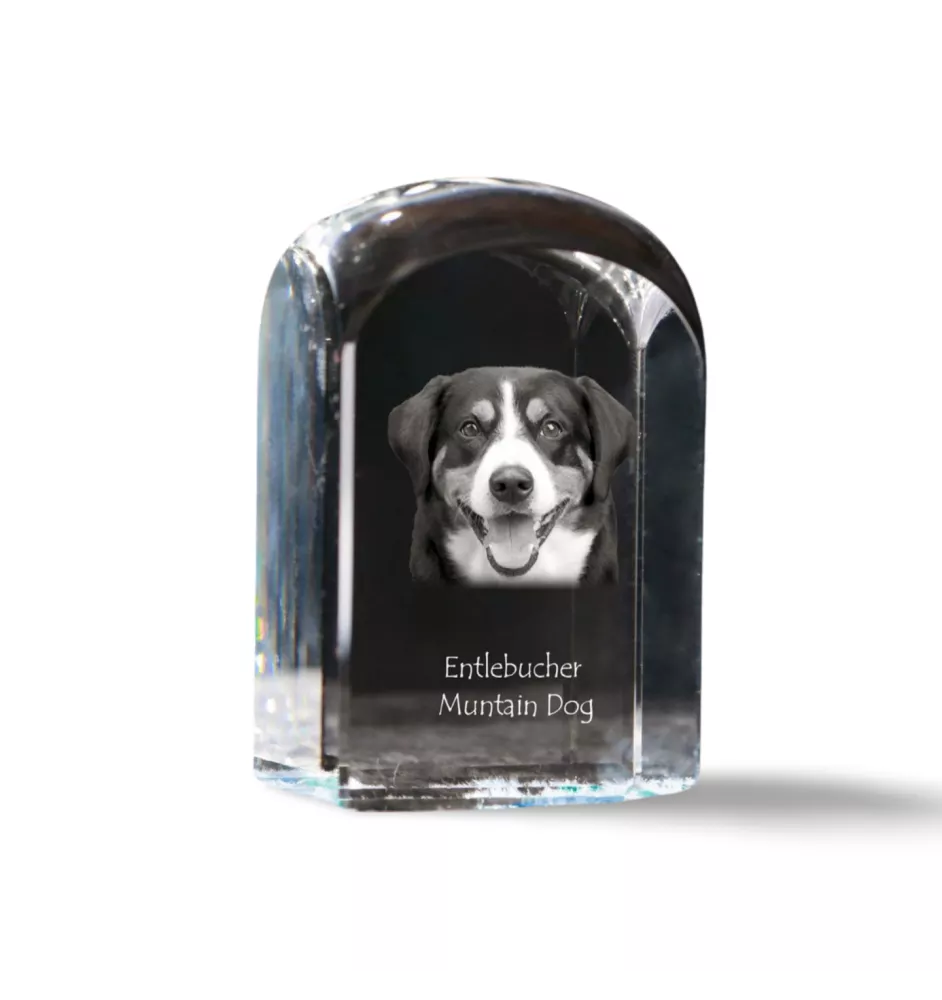 Entlebucher Mountain Dog, Entelbuch Cattle Dog - crystal cube with a photo, photo of a dog in crystal, cubic paperweight from Art-Dog brand
