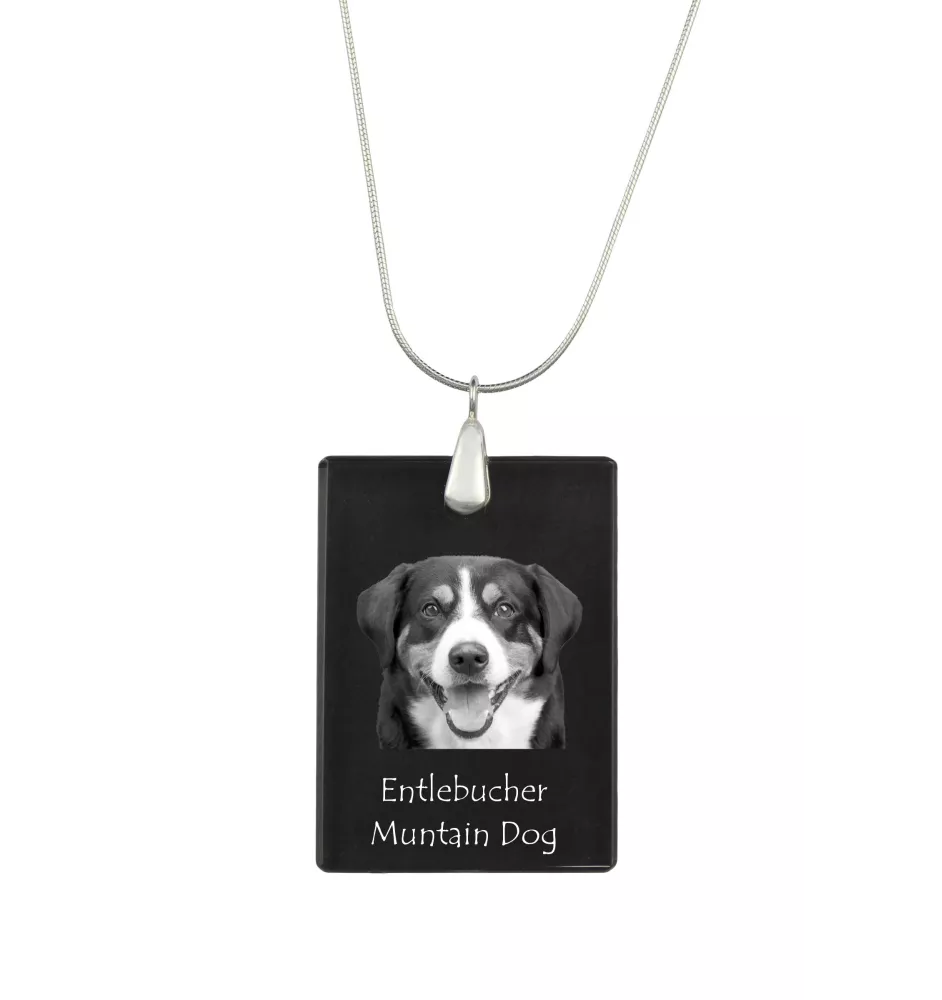 Entlebucher Sennenhund - Kristallanhänger mit Hund, Silberhalskette mit Foto, personalisierter Anhänger der Marke Art-Dog