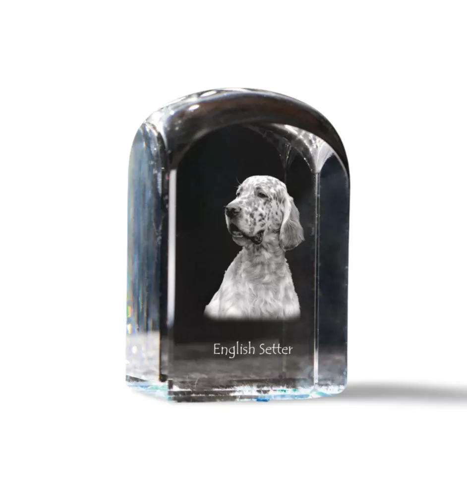English Setter, Englischer Setter - Kristallwürfel mit Bild, Hundebild im Kristall, sechseckiger Papierclip von Art-Dog.