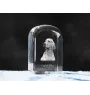Setter anglais, Setter laverack - un cube de cristal avec une photo, une photo de chien dans le cristal, un presse-papiers cubique de la marque Art-Dog