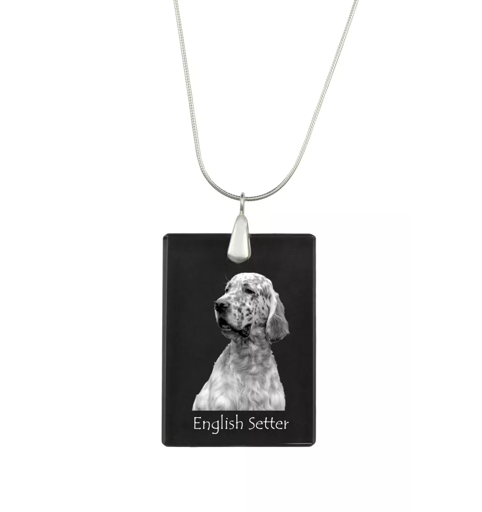 English setter, Lawerack, Laverack - Crystal pendant with dog, silver necklace with photo, personalised pendant by Art-Dog brand