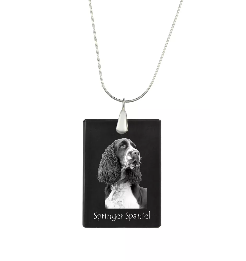 English Springer Spaniel, Springer anglais - Pendentif en cristal avec chien, collier en argent avec photo, pendentif personnalisé par la marque Art-Dog