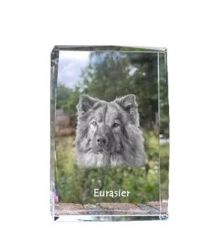 Eurasian, Eurasier - crystal with a picture of a dog, photo in glass, modern exhibition of Art-Dog brand photo