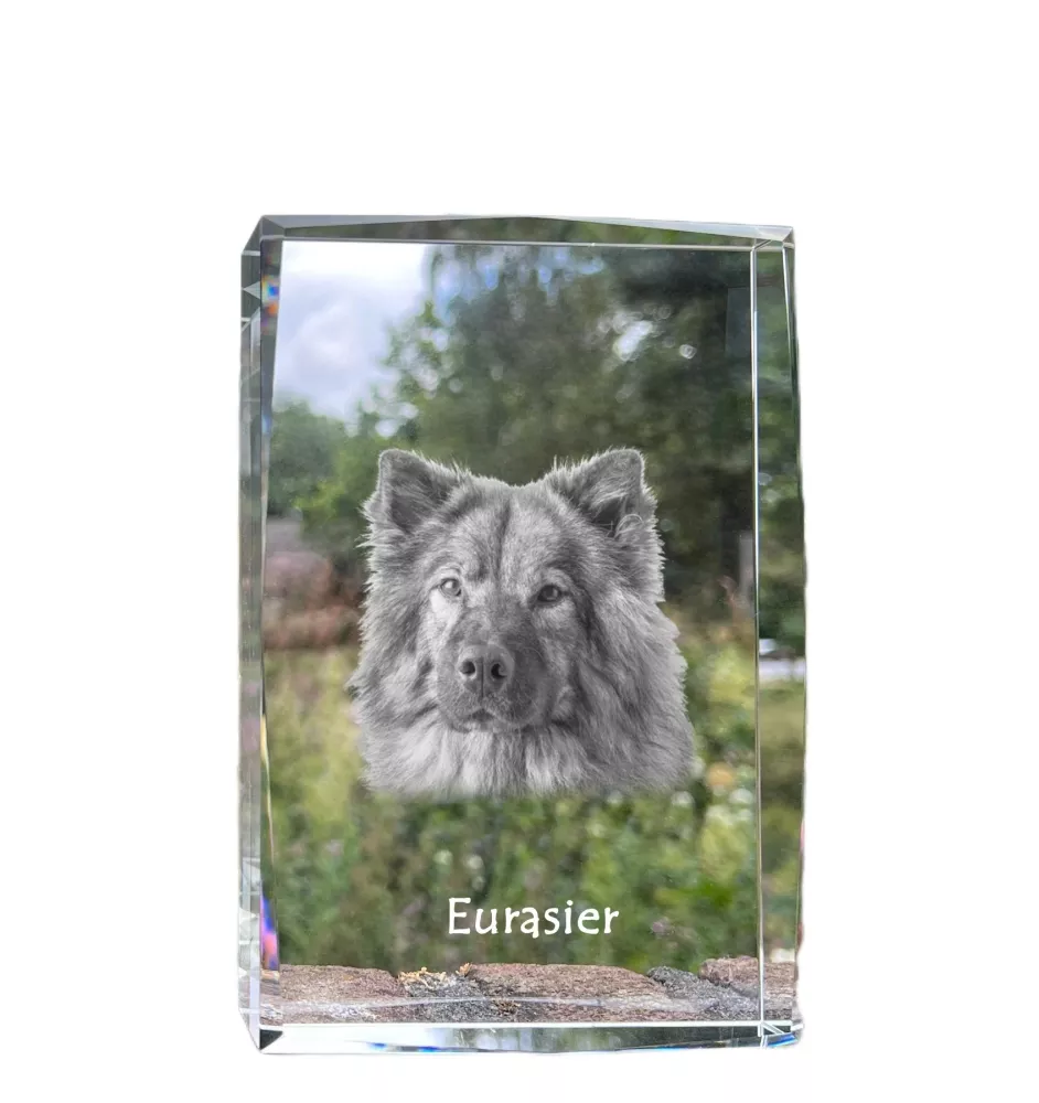 Eurasier - cristal avec une photo de chien, photo sous verre, exposition moderne de la marque de photos Art-Dog